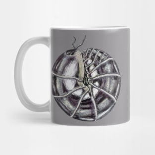 Schizidium oertzeni "chrome" Isopod Mug